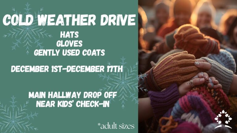 Copy of COAT COLLECTION