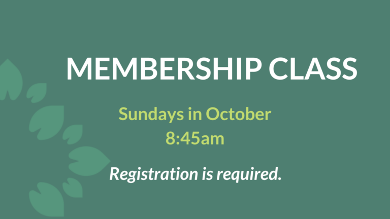 Membership Website