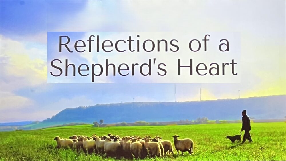 Shepherds Heart