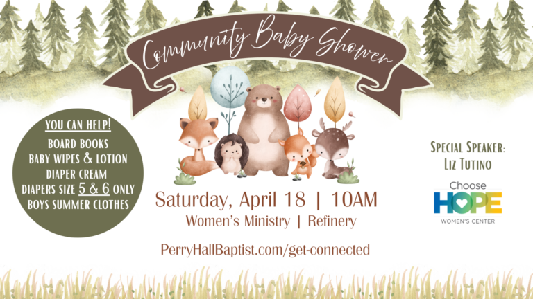 Community Baby Shower